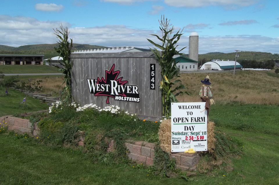 West River Holsteins